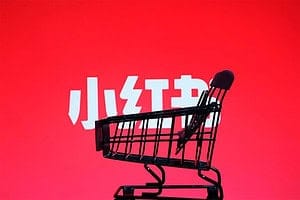 阿本小红书电商陪跑营4.0，带大家从0到1把小红书做起来