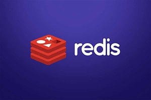 知识星球 java达摩院深入理解redis教程