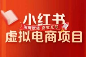 小红书虚拟电商从0到1,让你从小白到精英(20节实操课程)