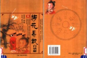 梅花易数白话解