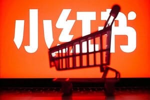 陶金金 小红书店铺运营课,小红书店铺入门实战教学