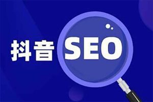 抖音SEO优化课,短视频运营必备基础课,教你精准布局短视频搜索