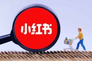 小红书聚光投流陪跑实战营,免费流量会越来越难,门槛越来越高,付费投流是一定要去做的事情