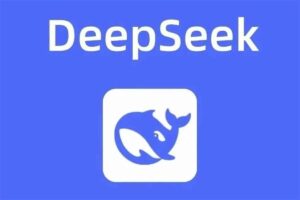 天诺老吴AI课程2025年，电商企业如何用deeepseek实现降本提效