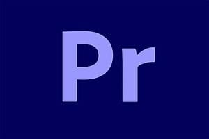 短视频剪辑0基础到精通PR速成教学:最快可两小时学会