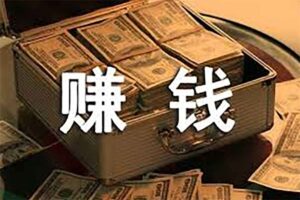 实体店赚钱档案：36个实操案例揭秘高效引流与暴利盈利模式