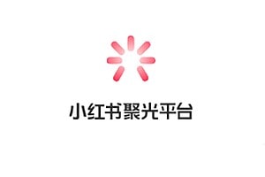 小红书聚光陪跑第一期，教你从0到1玩转小红书聚光投流，搭建小红书付费投流团队，更快的见到效果