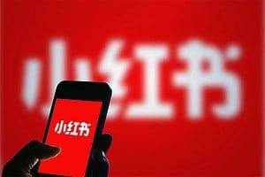 小红书陪跑系列课程，从0-1玩转小红书，开启全新赚钱模式