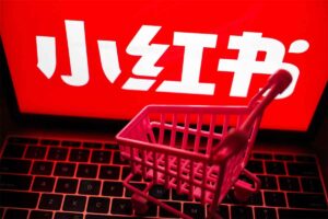 小红书电商带货课2期，月利润20个的小红书电商的有货源，无货源，虚拟产品，付费投流等整套玩法