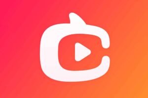 淘宝商家直播新人速成指南，淘宝直播入门小白必看