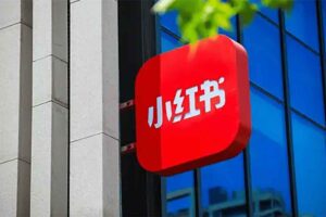 小红书电商0基础+高级运营课，新人小白必学方法，实操教学+案例分析