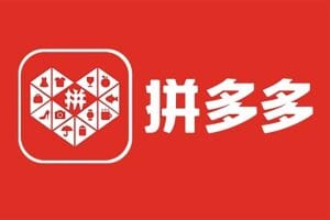 拼多多店群自然流玩法,轻松月入1W+保姆级视频教程(附上货、拍单工具)